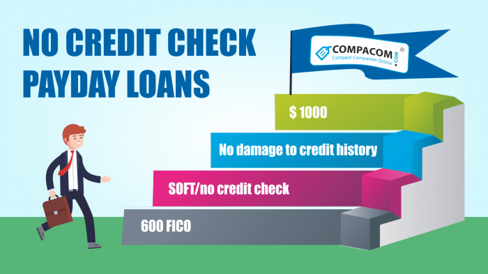 Loans